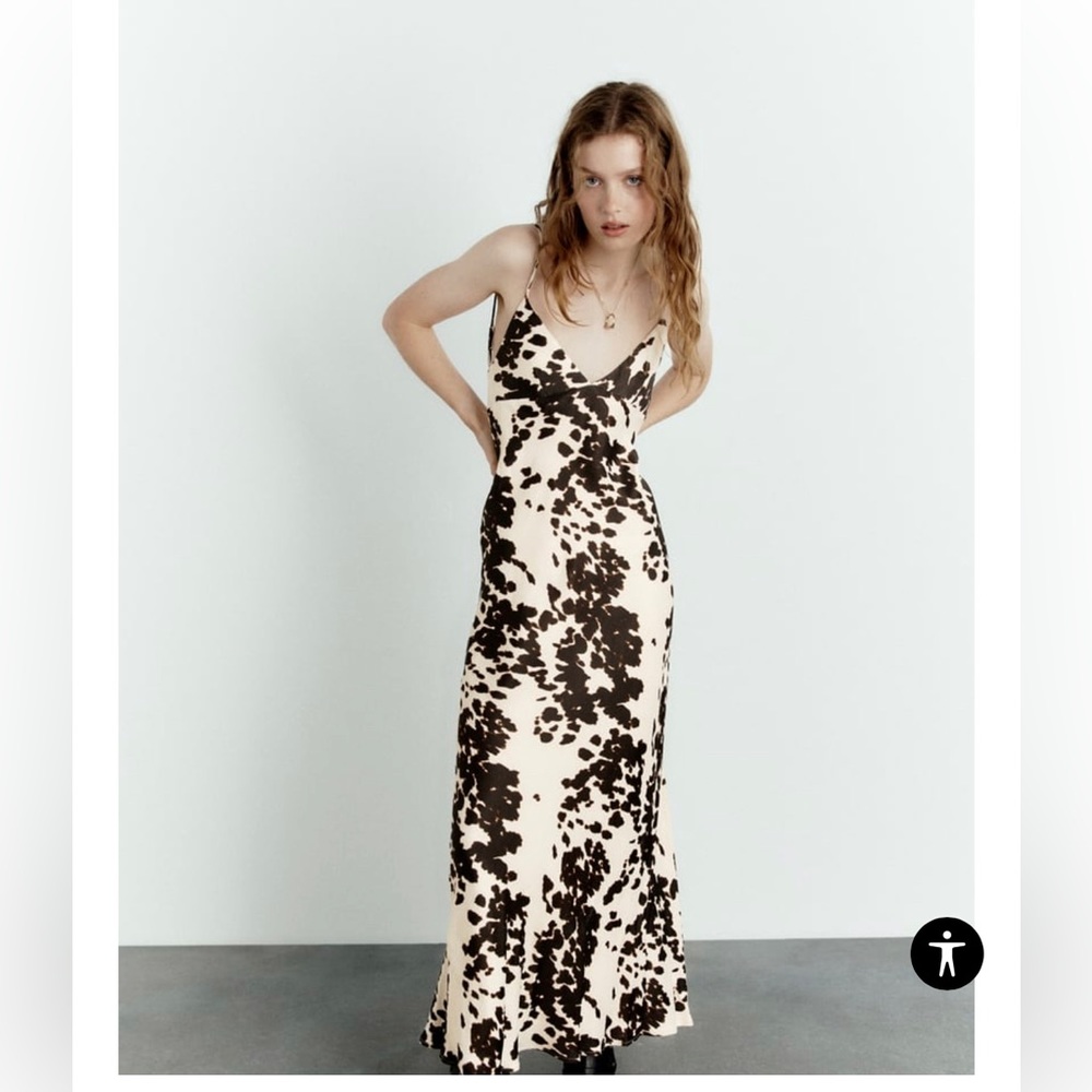 Zara Satin Dress